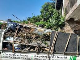 Best Estate Cleanout  in Harbor Beach, MI